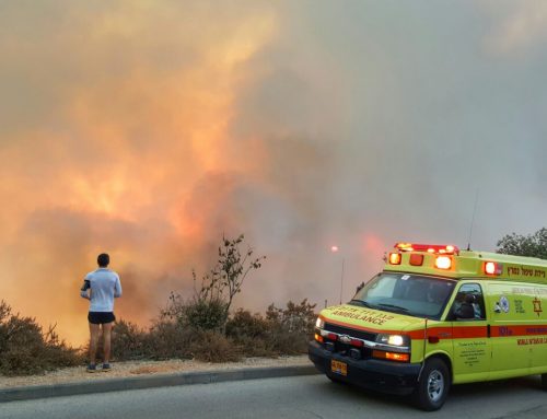MDA teams on high alert as fires rage throughout Israel